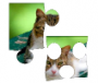student:catpuzzle.png