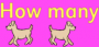 student:howmanydogs.png